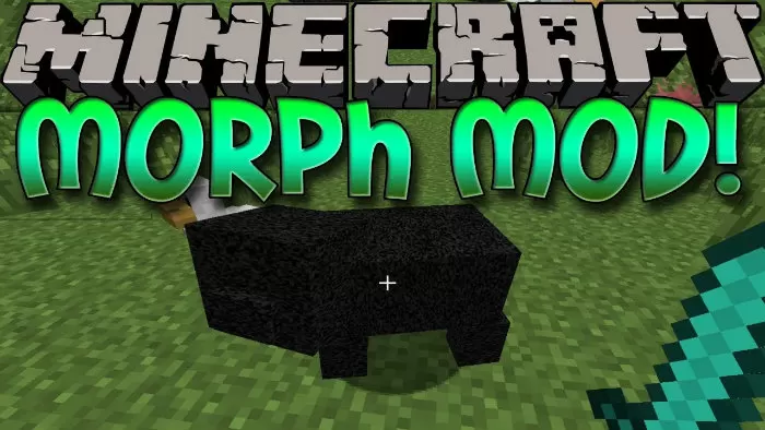    Minecraft Morph -  3
