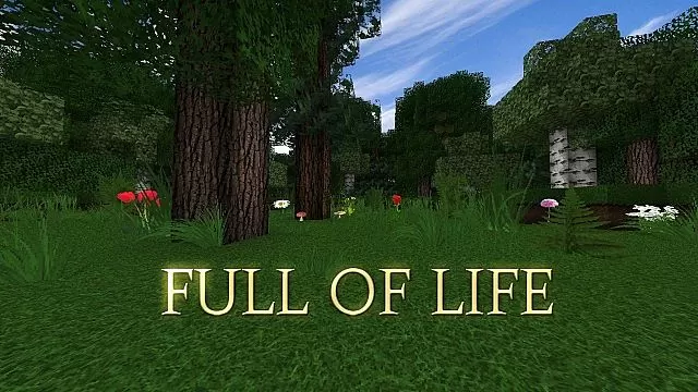 full-of-life-resource-pack