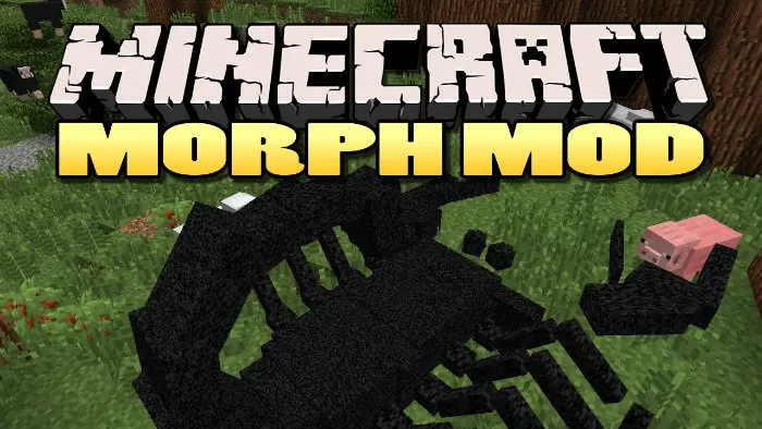 Morph Mod (1.16.5)