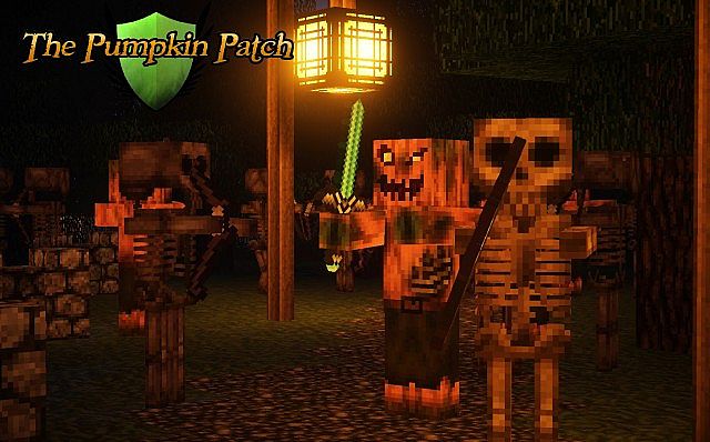 pumpkin-patch-7