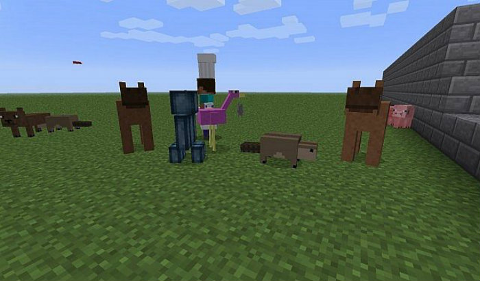 more-mobs-mod-4