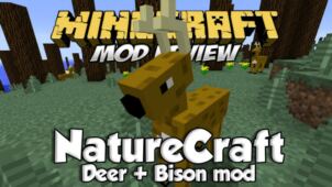 NatureCraft Mod for Minecraft 1.8