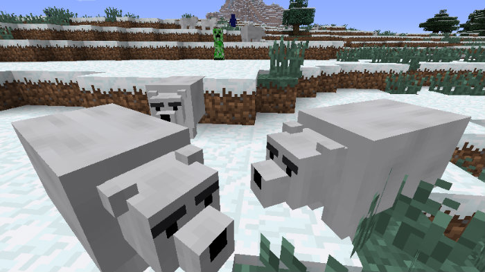 wintercraft-3