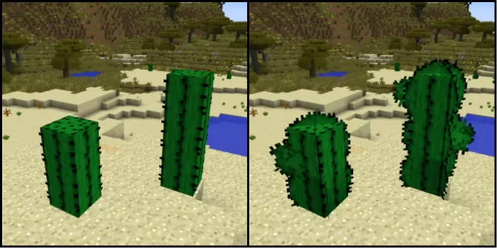 better-cactus