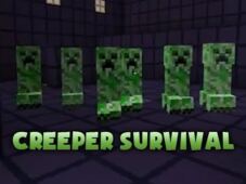 2D Survival Map 1.13.2 for Minecraft 