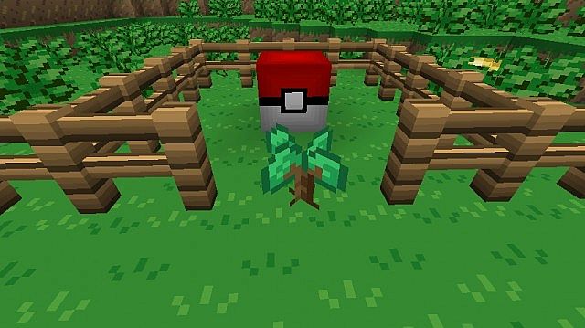 pokeblock-3