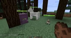 Neat Mod for Minecraft 1.16.5/1.15.2/1.14.4