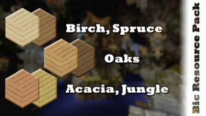 Bic Revamped Resource Pack for Minecraft 1.12