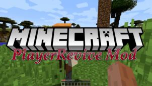 PlayerRevive Mod for Minecraft 1.12.2/1.11.2