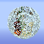 Biome Sphere Parkour Icon