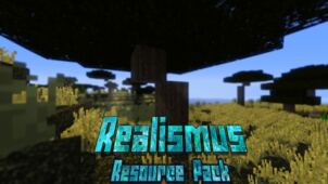 Realismus Resource Pack for Minecraft 1.13.2