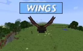 Wings Mod 1.16.5 → 1.12.2 (Potion Activated Wings)