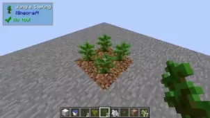 Trees of Stages Mod for Minecraft 1.12.2
