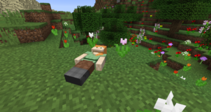 Corpse Mod for Minecraft 1.13.2/1.12.2