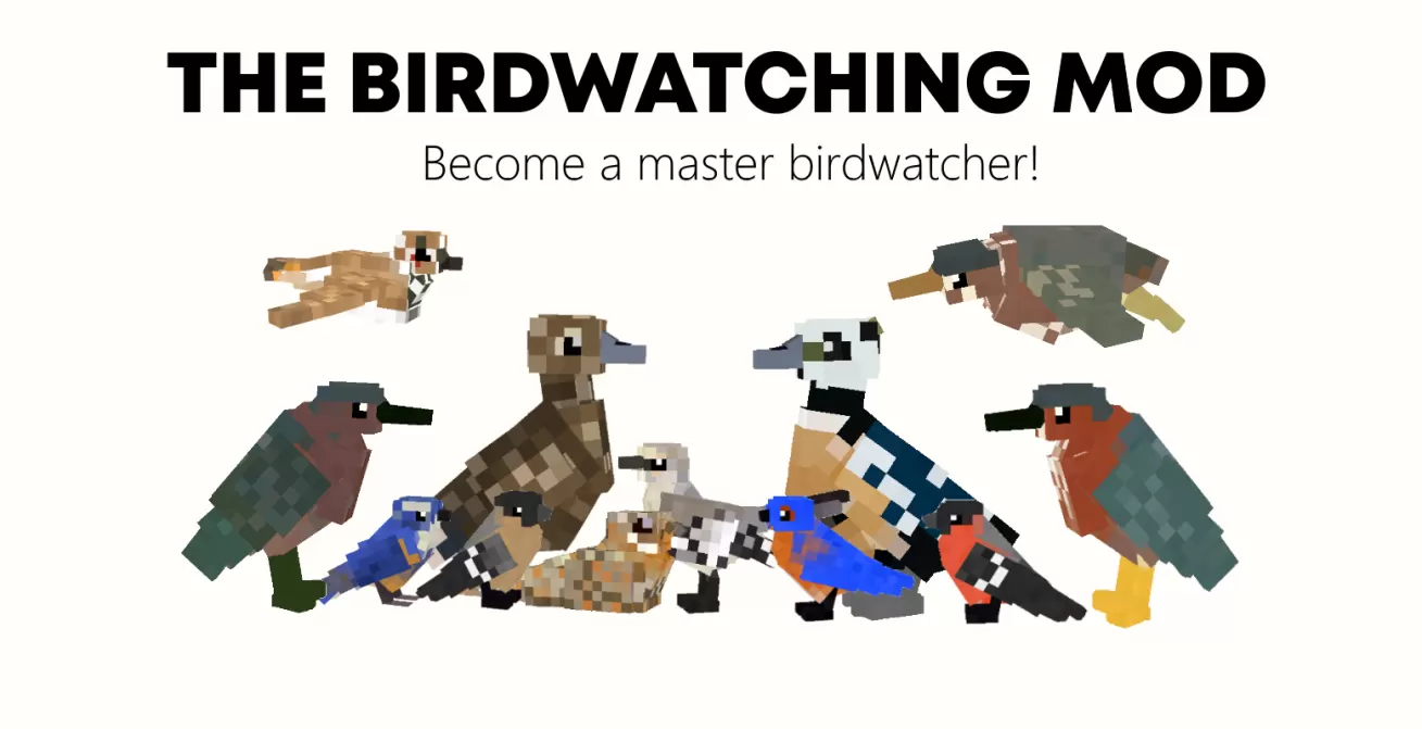 BirbWatch · player info