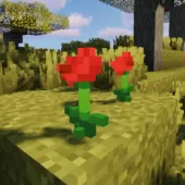 Aestheticism Mod for Minecraft 1.14.4/1.14